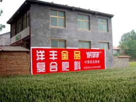  渑池如何让墙体广告展现最大化效果